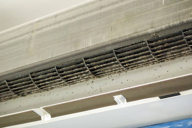 Best Home Air Vent Cleaning  in Little Chute, WI